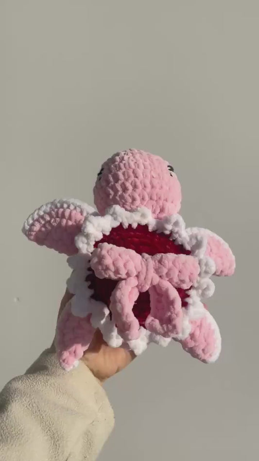 La tortue noeud 🎀